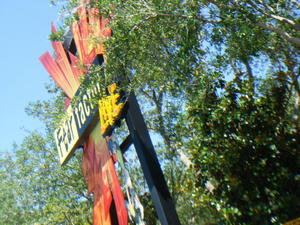 DSC06202.JPG