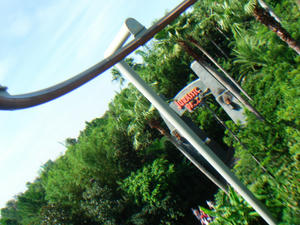 DSC06330.JPG