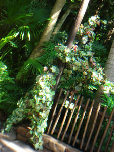 DSC06500.JPG