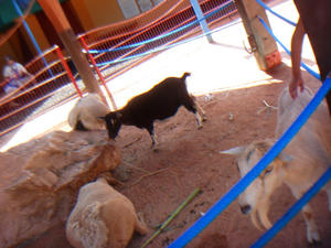DSC06518.JPG