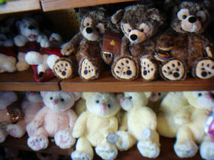DSC06537.JPG