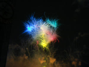 DSC06718.JPG