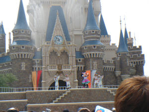 DSC07335.JPG