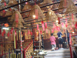 DSC07856.JPG