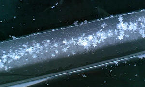 PAP_0024.JPG