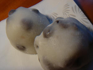 DSC09322.JPG