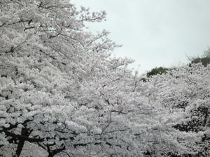 P1000572.JPG
