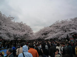 P1000574.JPG