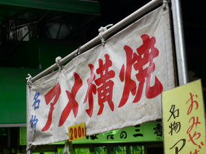 P1000581.JPG