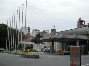 P1000611.JPG