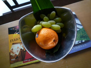 P1010043.JPG