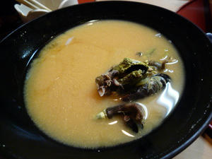 P1010764.JPG