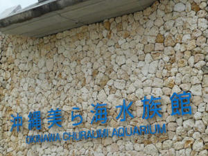 P1030465.JPG