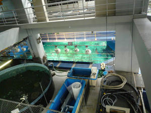 P1030630.JPG