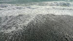 P1000031.JPG