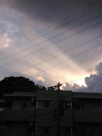 3f33b8d6.jpg