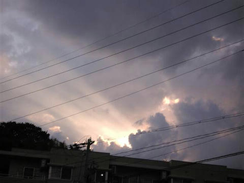 Image1401.jpg