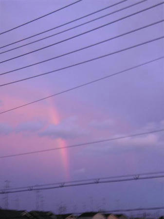 Image1351.jpg