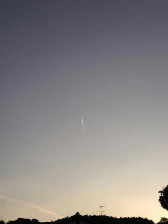 729355cc.jpg