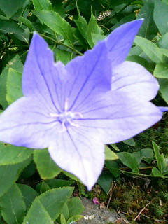 f6752303.JPG