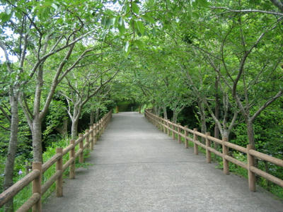 館山城