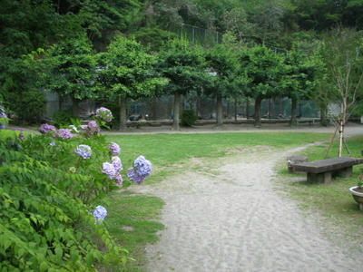 館山城