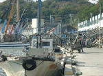 sakosi5.jpg