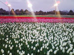 100322_175906.jpg