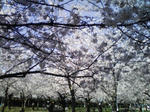 110406_162230.jpg