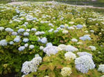 110605_134024.jpg