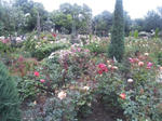 110605_141802.jpg