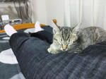111002_204910.jpg