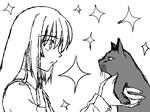 kirakira.jpg