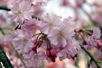 DSC01284.jpg