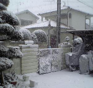 雪やこんこん