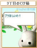（*ﾉﾉ