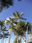 100214_042654.jpg