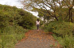 w196.jpg