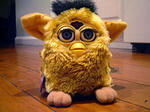 250px-Furby.JPG
