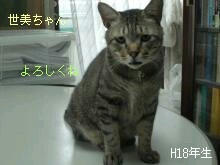 750c0d4faaa81d5bed4b315dc88392df.jpg