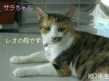 0b79129313ec489070643be46eff693c.jpg