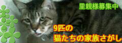 585a100391bf010a1be047d5433c1291.png
