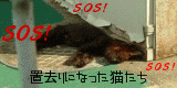 1bc59399.gif
