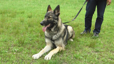 IMGA0765.JPG