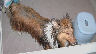 IMGA0859.JPG