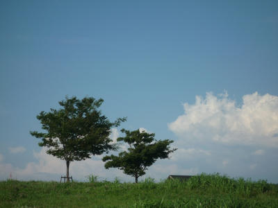P1040003.JPG
