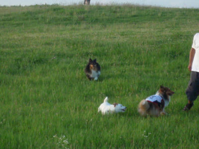 P1040053.JPG