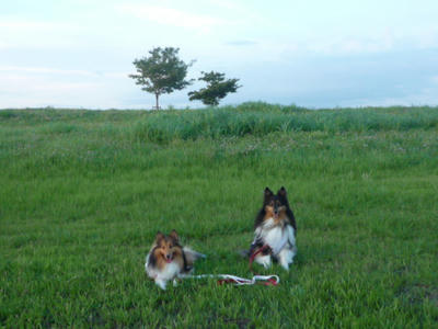 P1040059.JPG