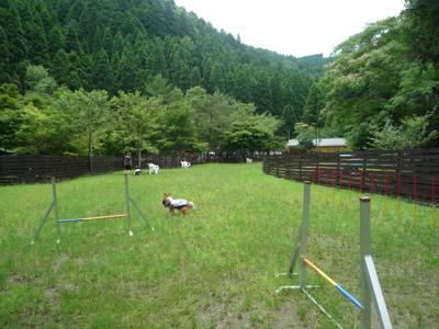 P1040127.JPG
