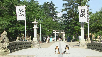 IMGA0052.JPG